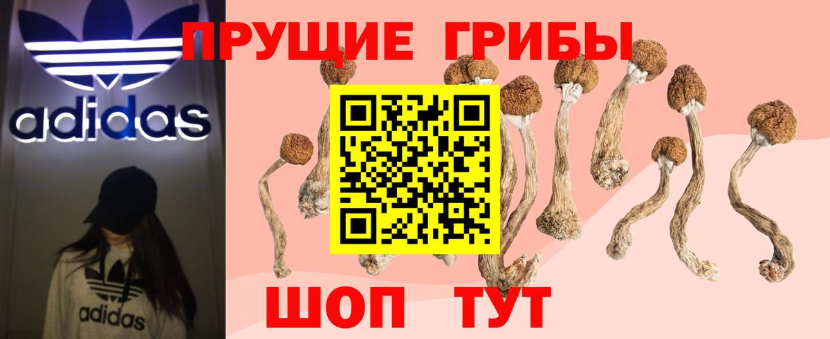 Галлюциногенные грибы мицелий Красноярск